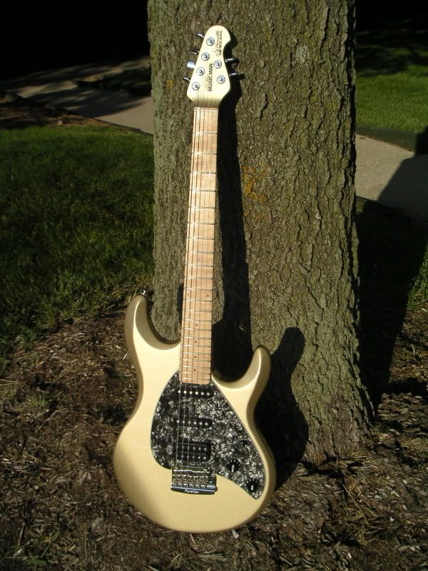 PICT0336.jpg