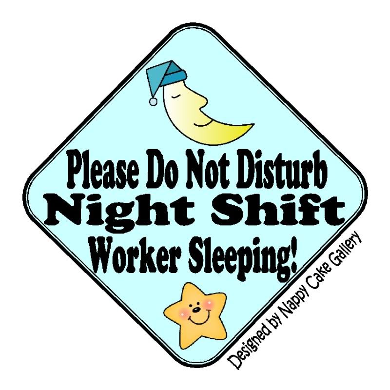 Do Not Disturb Nightshift Worker Sleeping Sign EBay