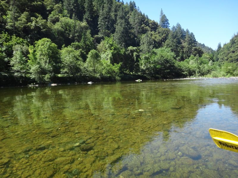 IMAGE: http://i34.photobucket.com/albums/d112/EMCummings/POTN/DSC01338.jpg