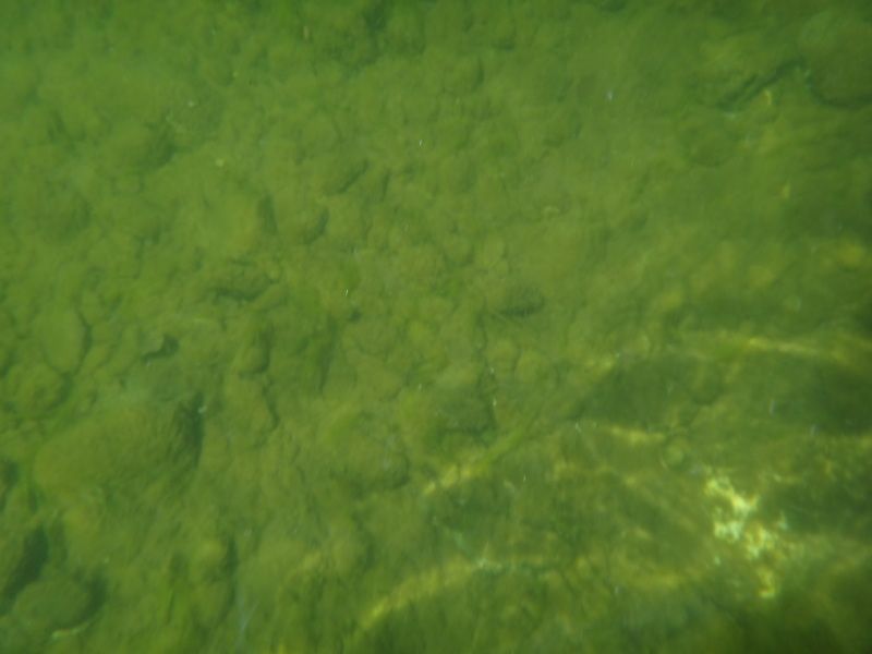 IMAGE: http://i34.photobucket.com/albums/d112/EMCummings/POTN/DSC01369.jpg