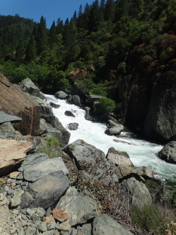 IMAGE: http://i34.photobucket.com/albums/d112/EMCummings/POTN/DSC01412.jpg