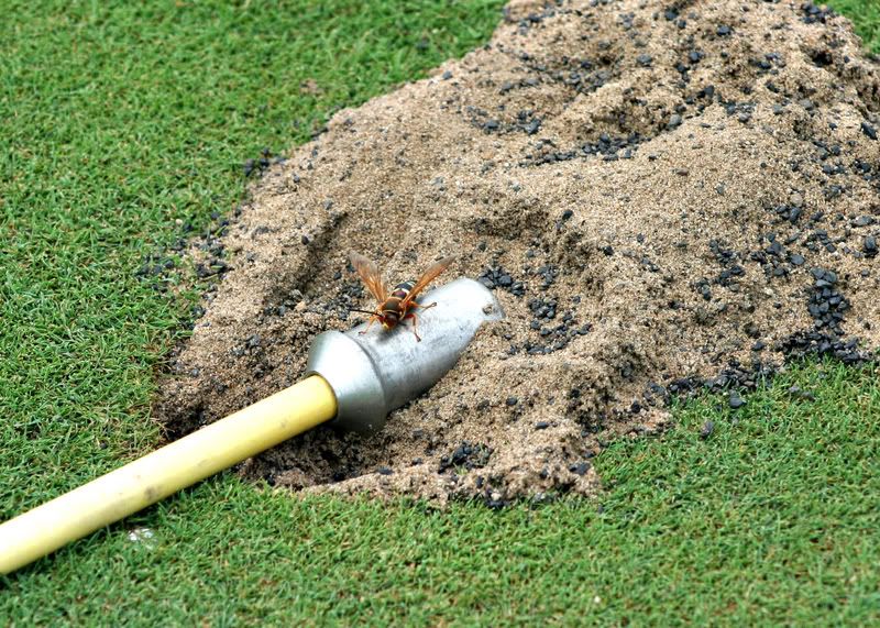 IMAGE: http://i34.photobucket.com/albums/d112/montanafan/IMG_4202a.jpg