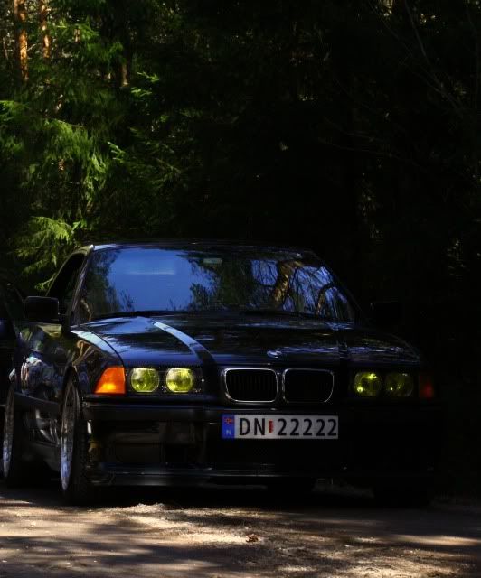 BMW_shineyshine_skilt.jpg