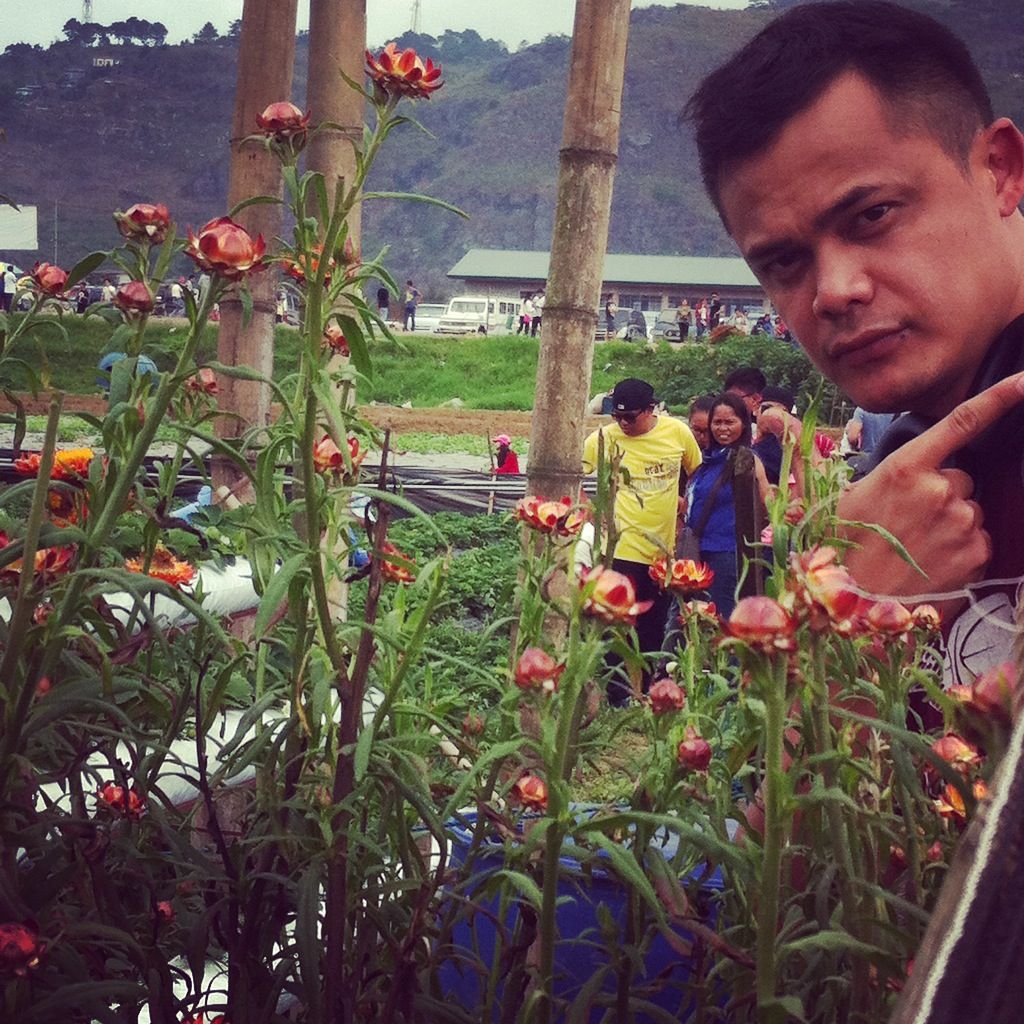 strawberry farm benguet