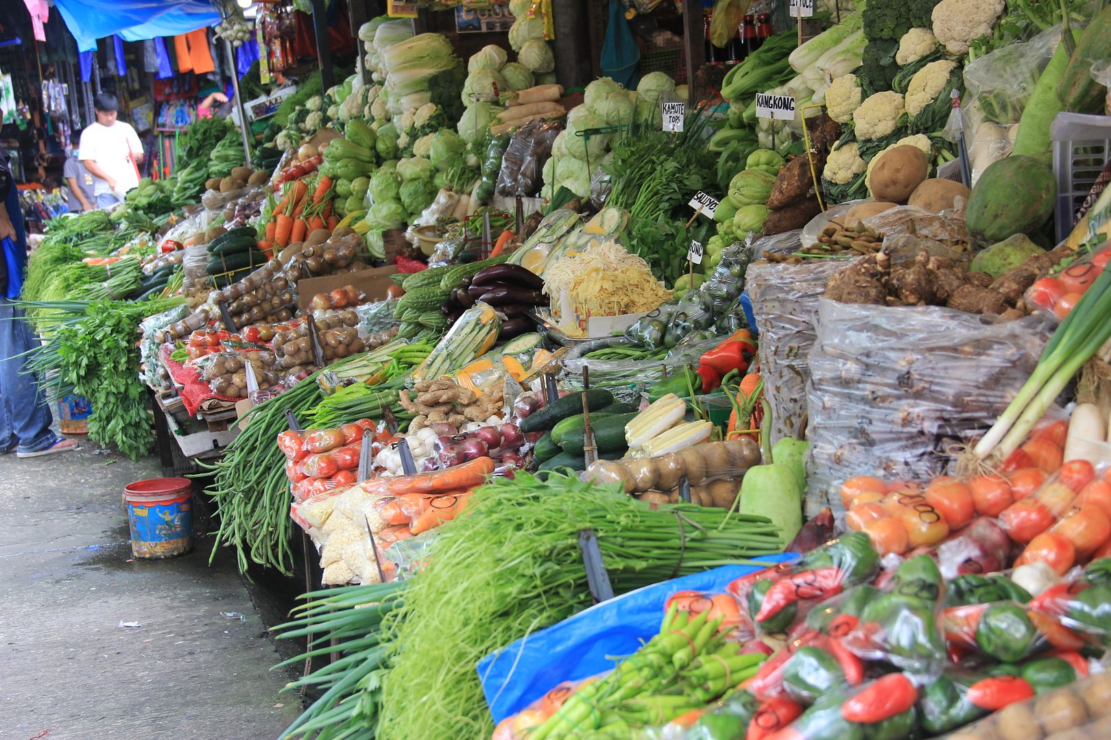 Vegetables Baguio City Market