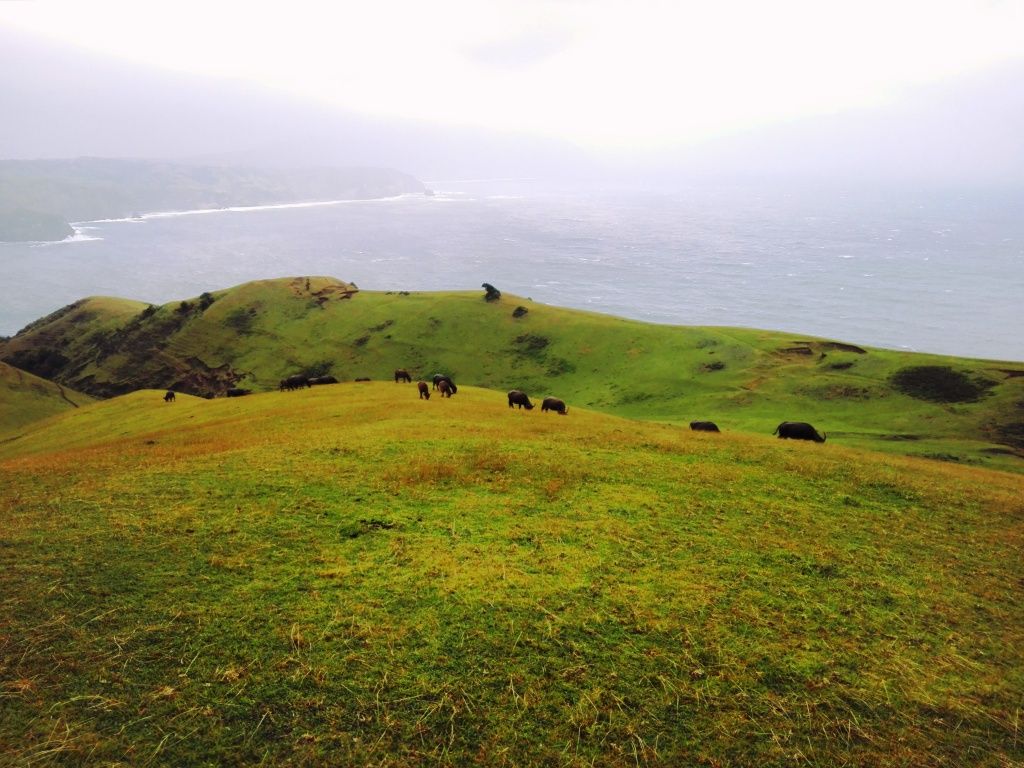 Marlboro Hills Batanes