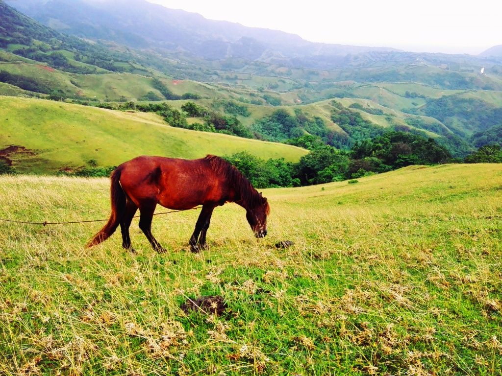 Marlboro Hills Batanes