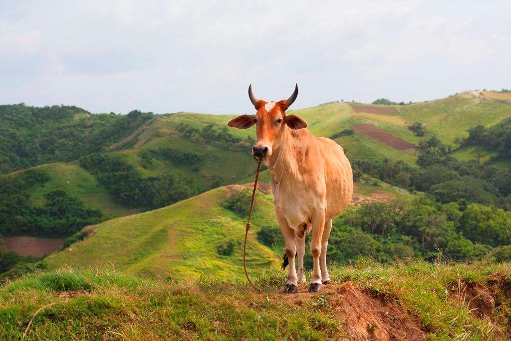 Batanes