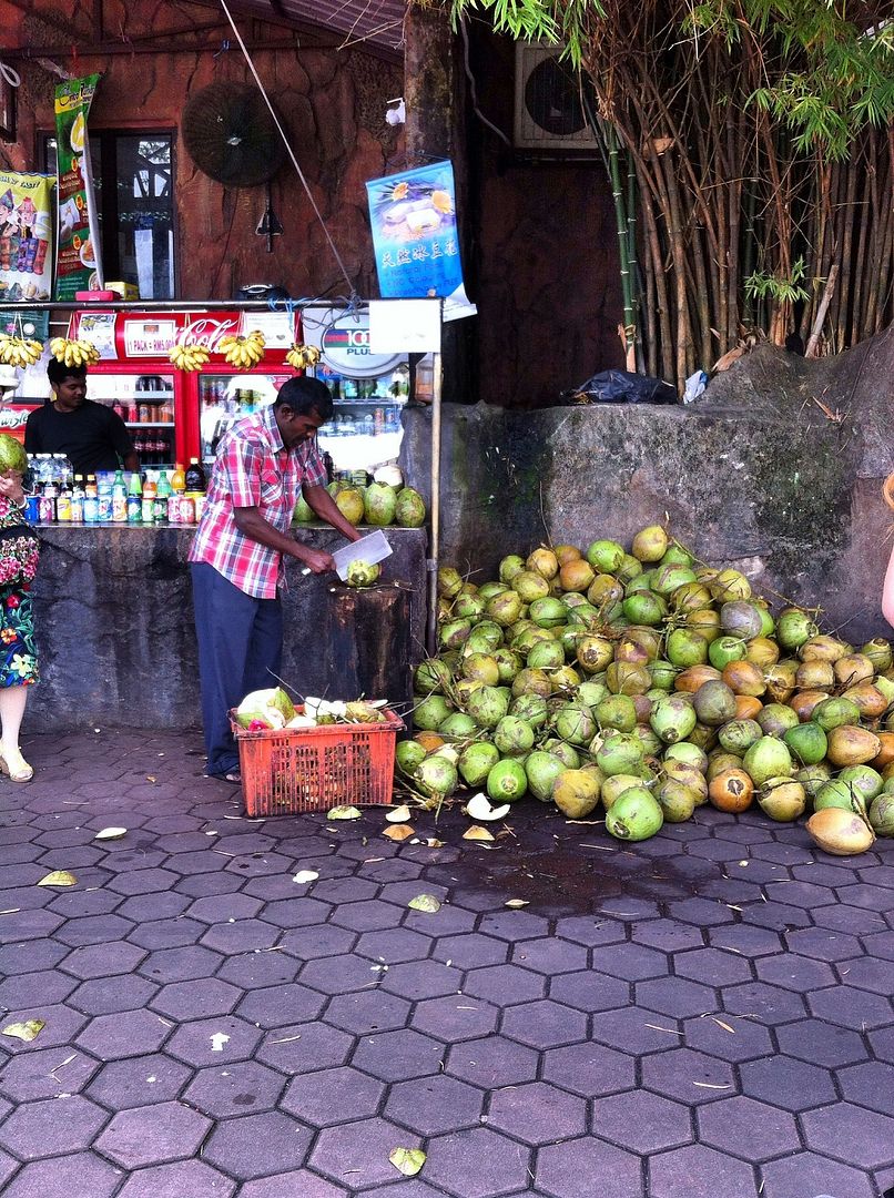 Food at Batu Caves