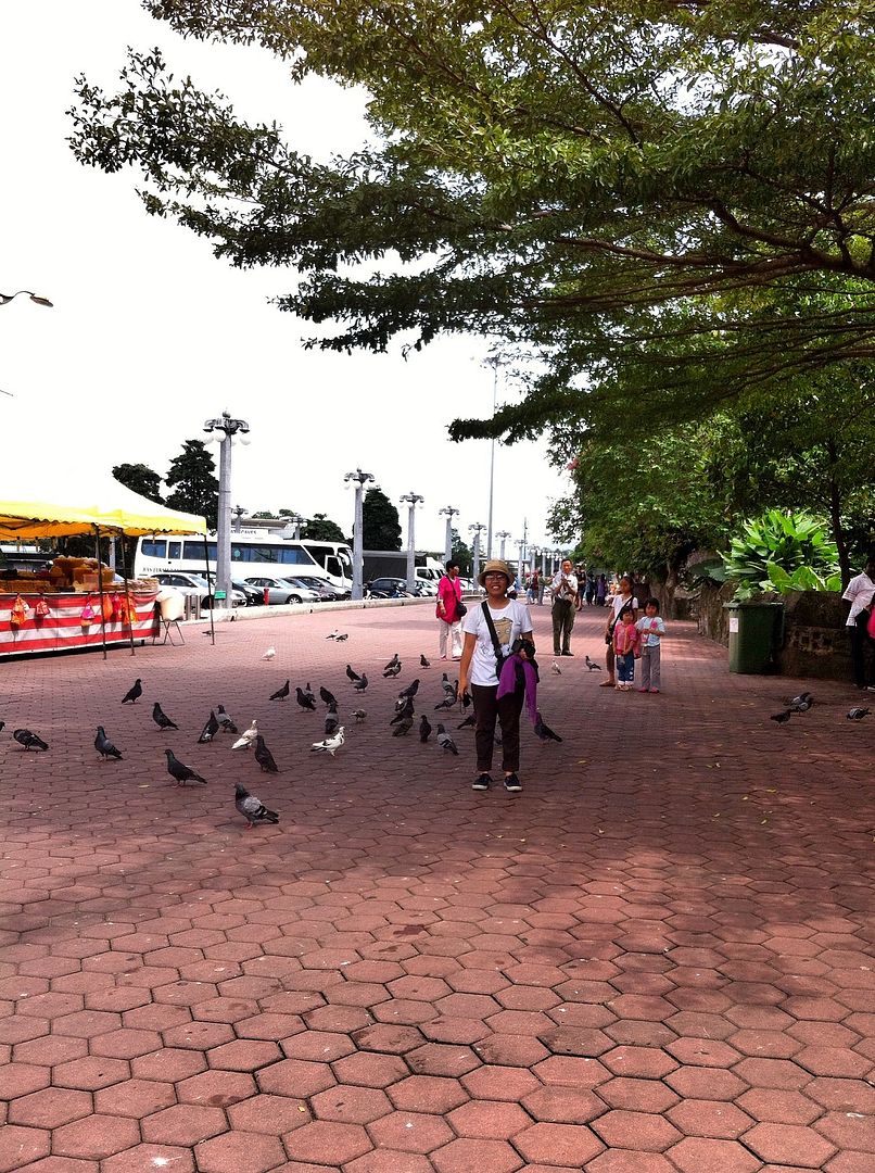 Pigeons at Batu Caves