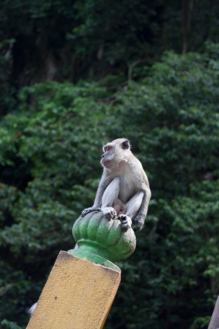 Batu Caves