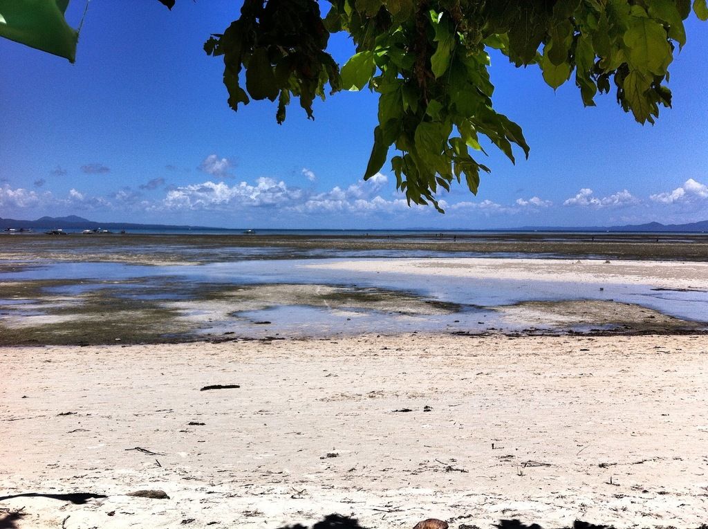 Cagbalete low tide