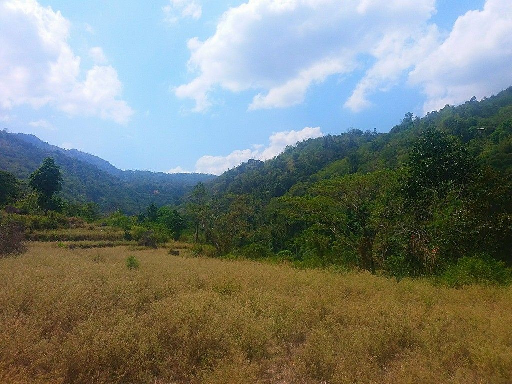 trekking to Tangadan Falls