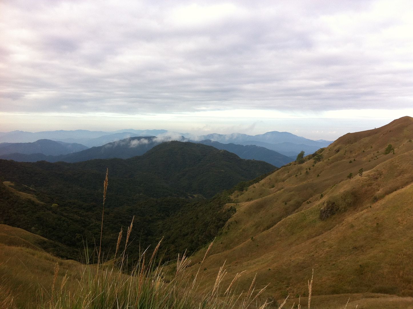 Mt. Pulag