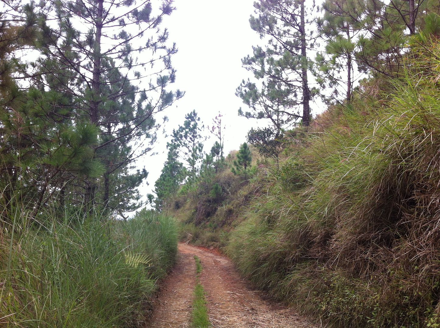 Mt. PUlag