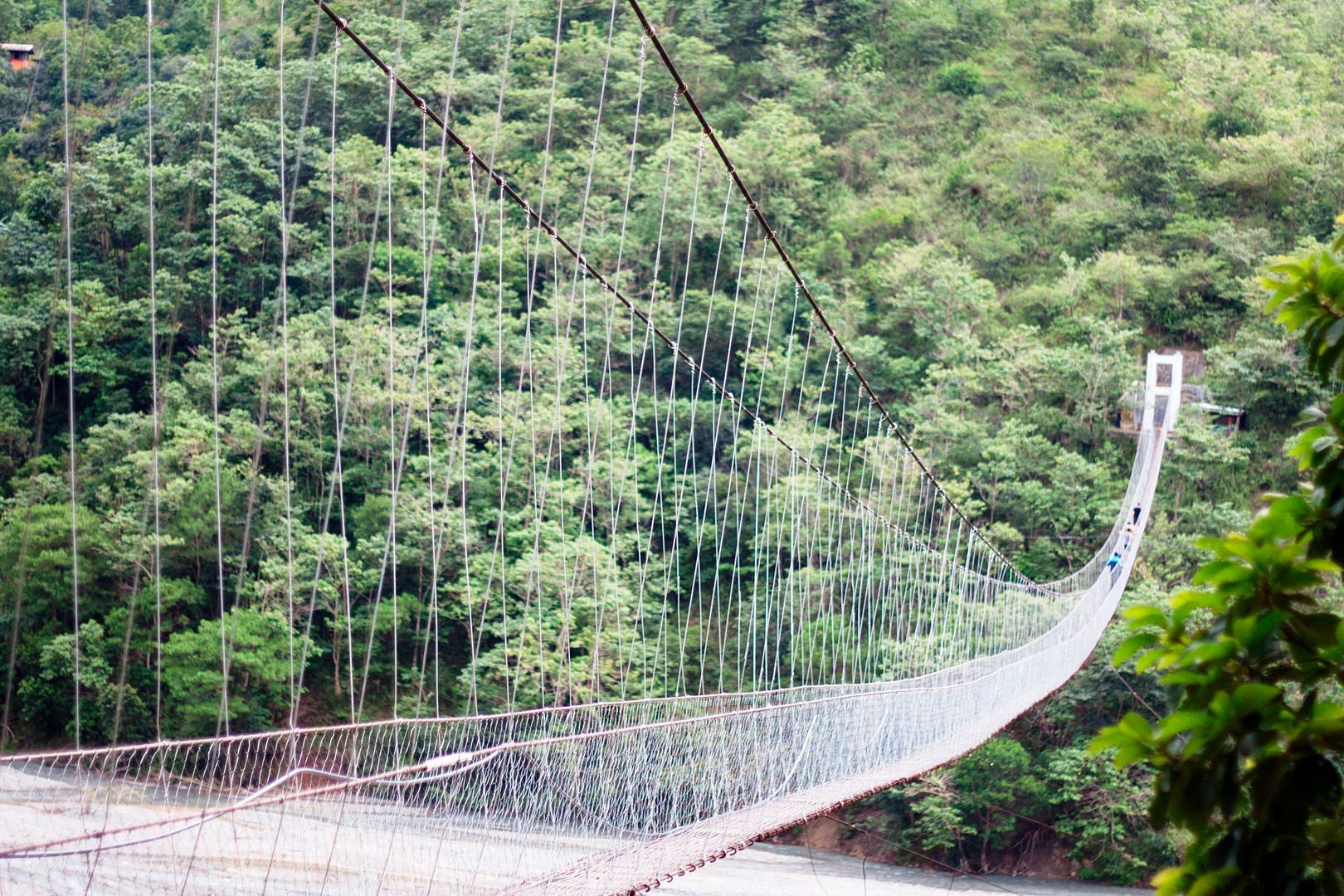 Jangjang Hanging Bridge