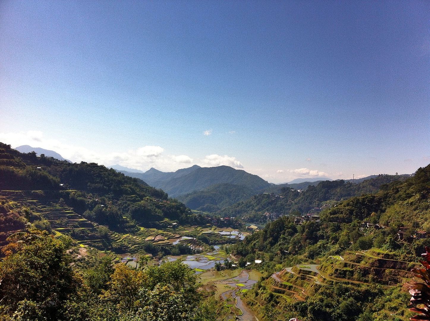 Banaue Rice Terraces