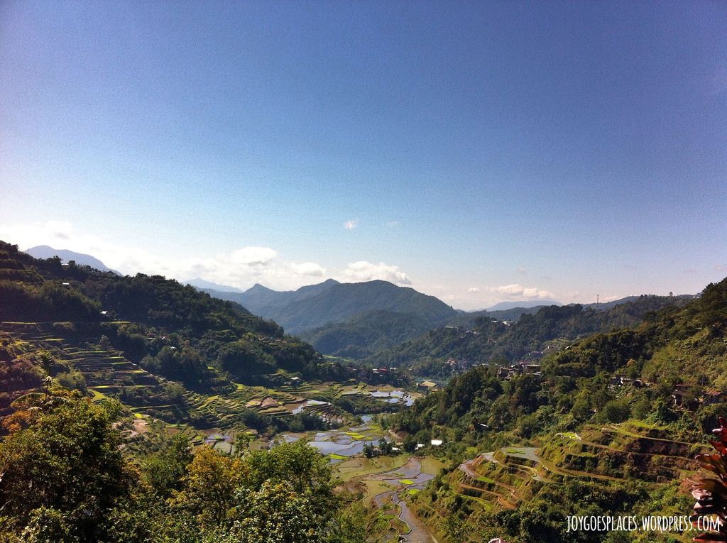 Banaue Rice Terraces