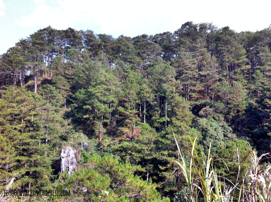 Echo Valley Sagada