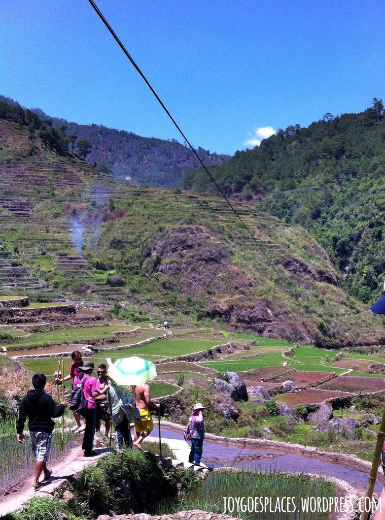 Fedelisan Rice Terraces