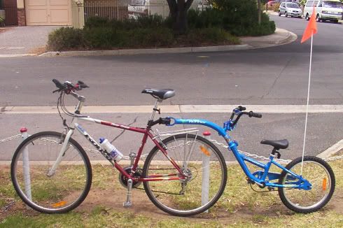 tag along bike kmart