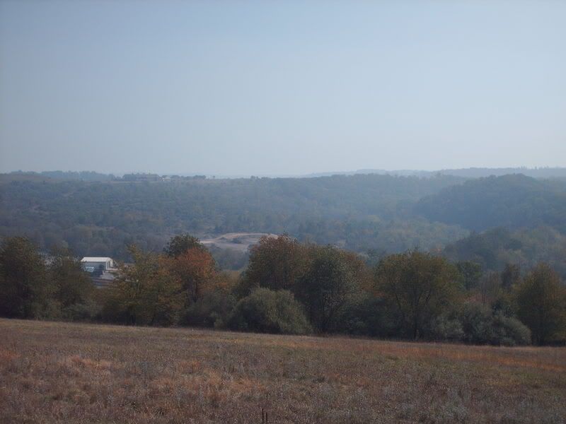 HPIM3509.jpg