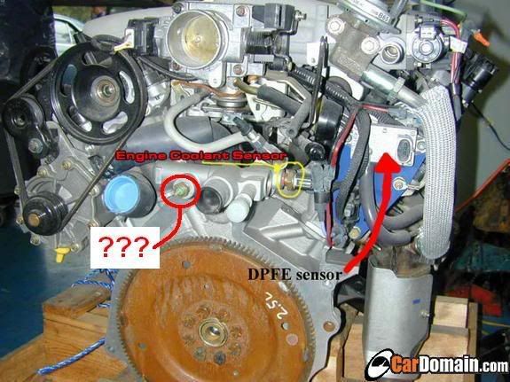 Whatisthis.jpg