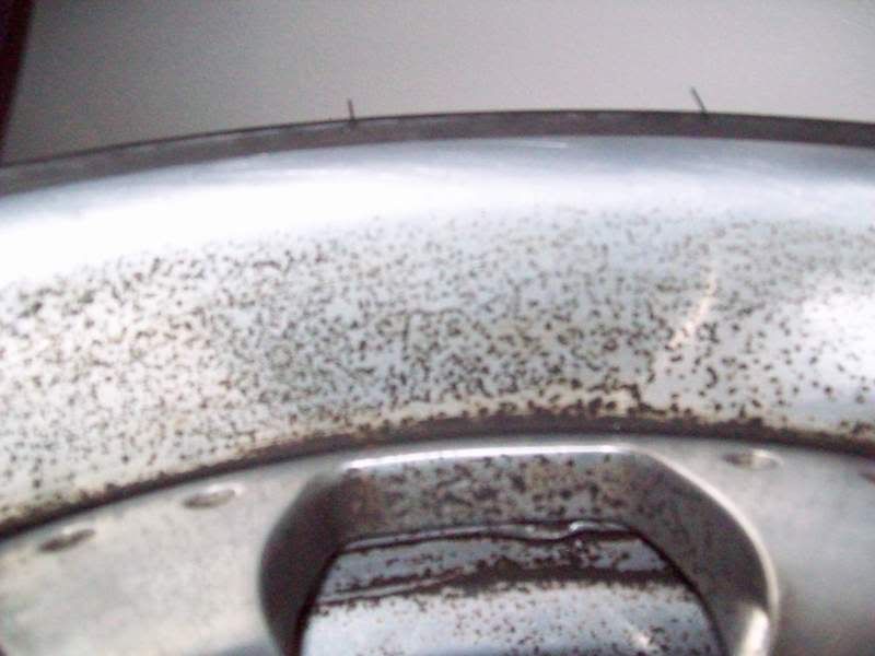 100_0273.jpg