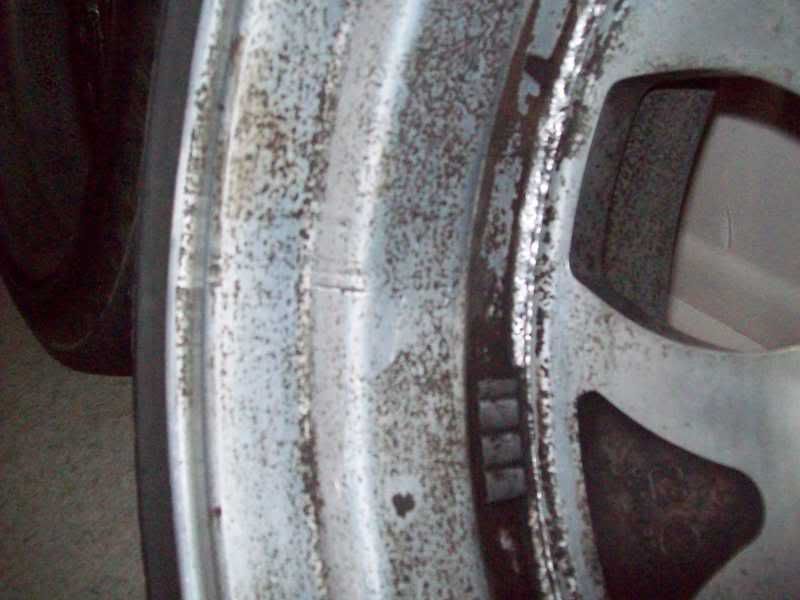 100_0274.jpg