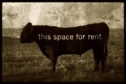 This-Space-For-Rent-print-c.jpg