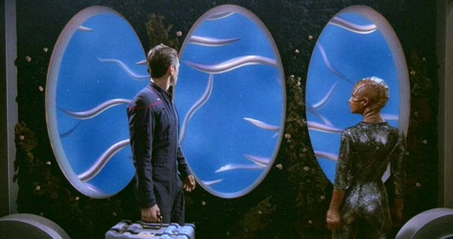 eels.png