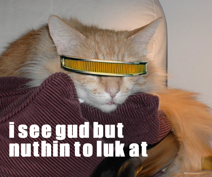 geordicat.png