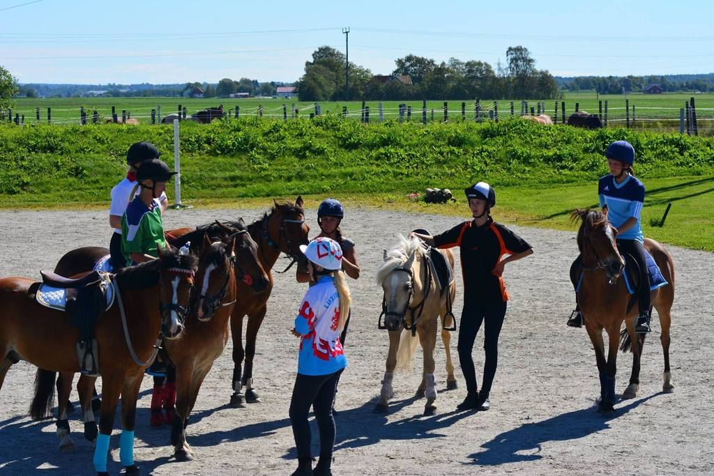  photo 10498360_1085807534782718_280570030574974533_o_zpsss8oa4y4.jpg