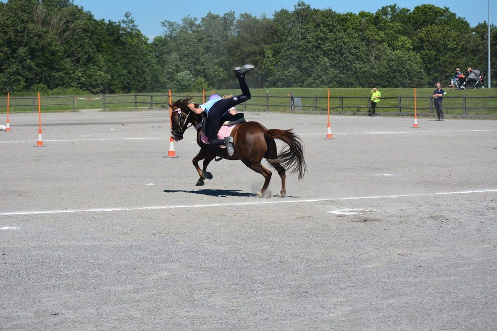  photo 10557547_1085807928116012_1919166677631475714_o_zpsultnhej1.jpg