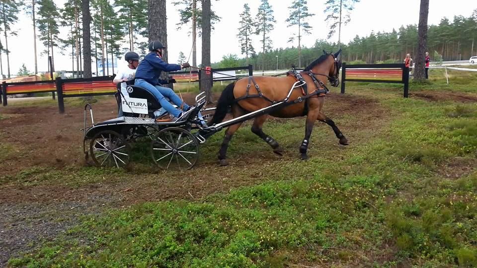  photo 11017017_602422343234409_1301520282839278916_n_zpskb02b29c.jpg