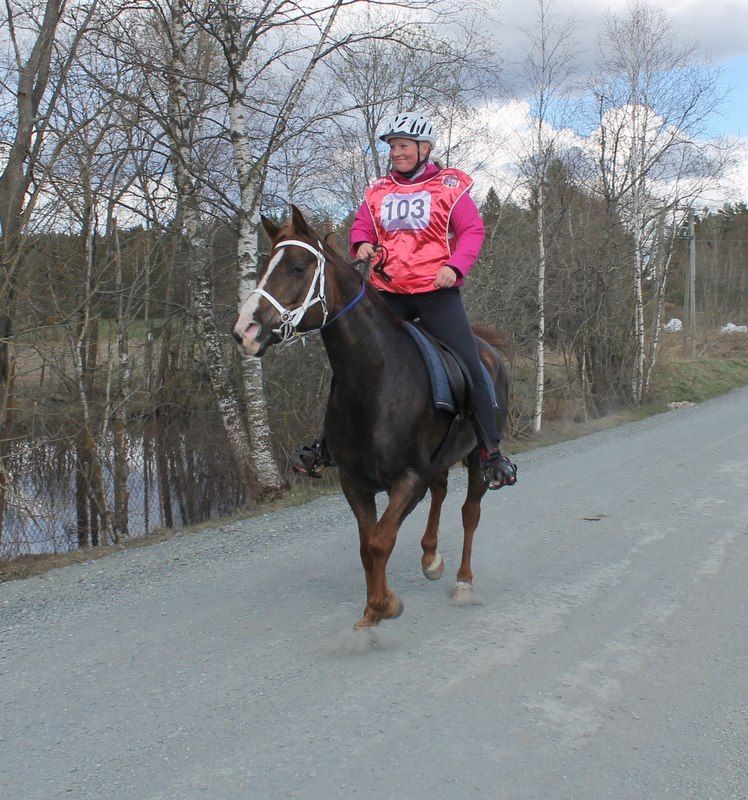 Distansestevne Aurskog Foto: Sissa Stefaniwicz photo 11038792_10205717708116346_2116721823899984314_n_zpsjozycsdw.jpg