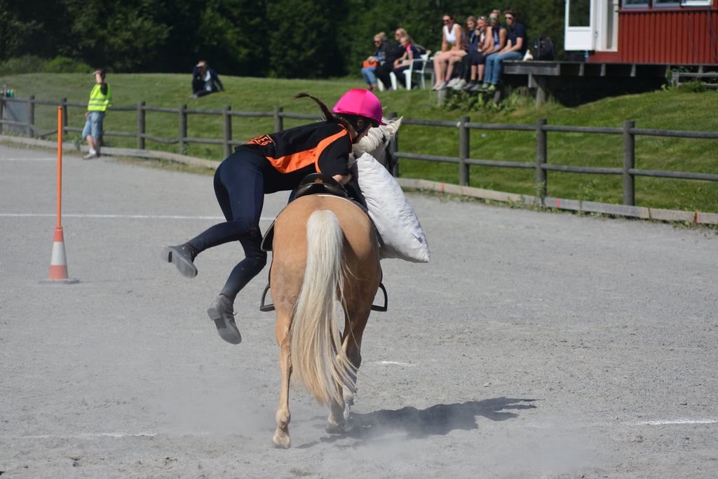  photo 11055356_1085808394782632_8974462585307666066_o_zpsb6gcrkog.jpg