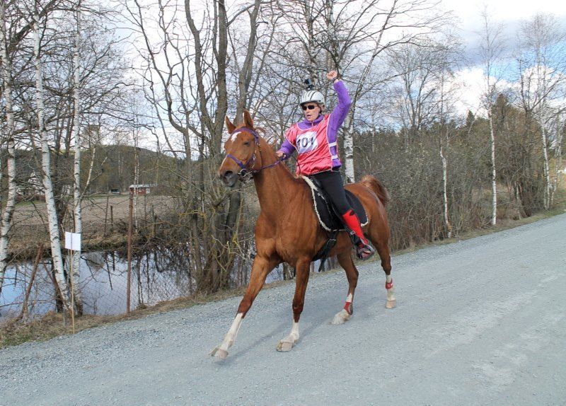 Distansestevne Aurskog Foto: Sissa Stefaniwicz photo 11059783_10205717695236024_7591799181569043096_n_zpsgxhzgos1.jpg