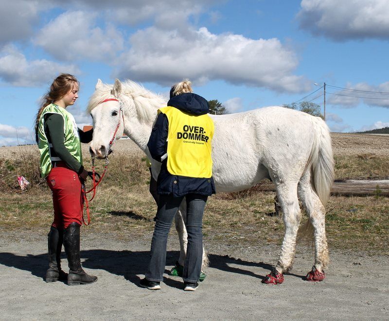 Distansestevne Aurskog Foto: Sissa Stefaniwicz photo 11193313_10205717710436404_4834800186846278240_n_zpsrcrj7cxq.jpg