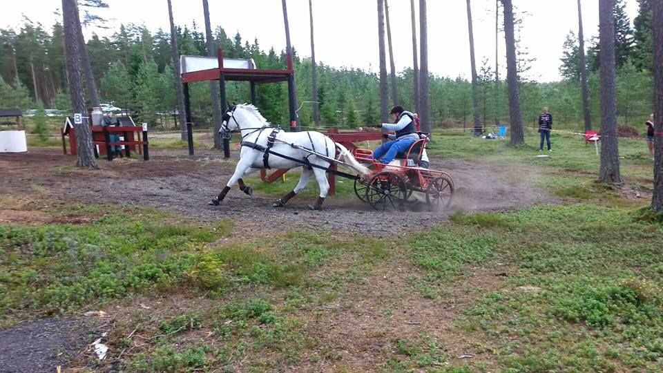  photo 11206973_602425623234081_443278074899653273_n_zpszvoof3a4.jpg