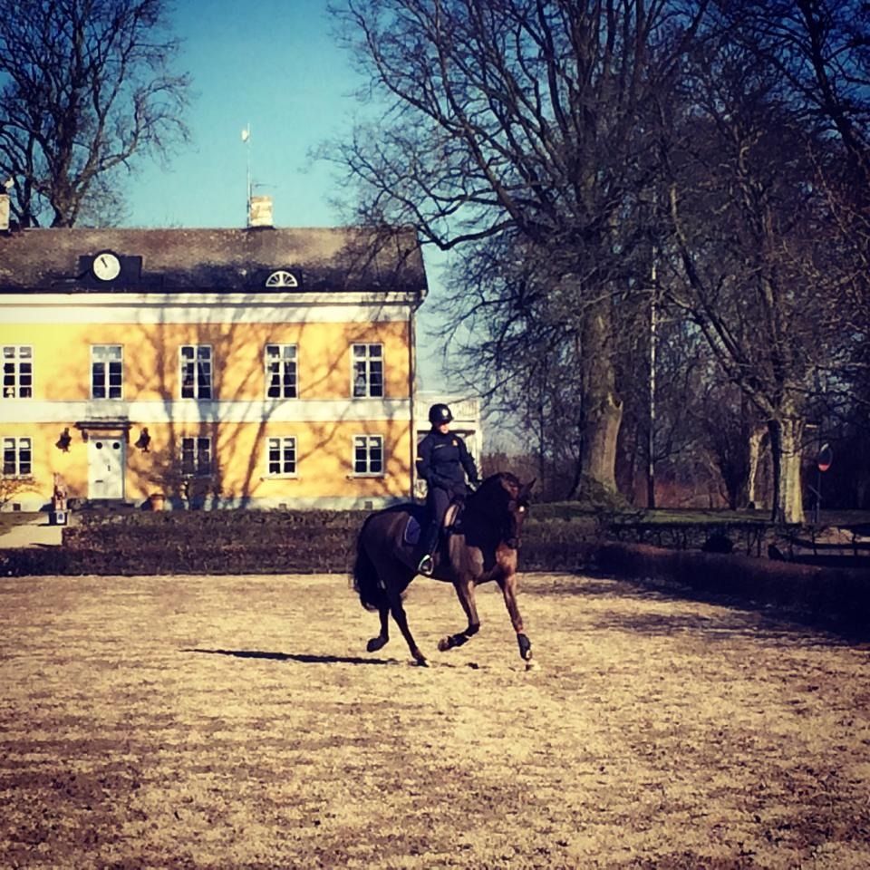 Andrea og Hera på Flyinge photo 11225696_10155562043145608_936643209_n_zpskzjouomq.jpg