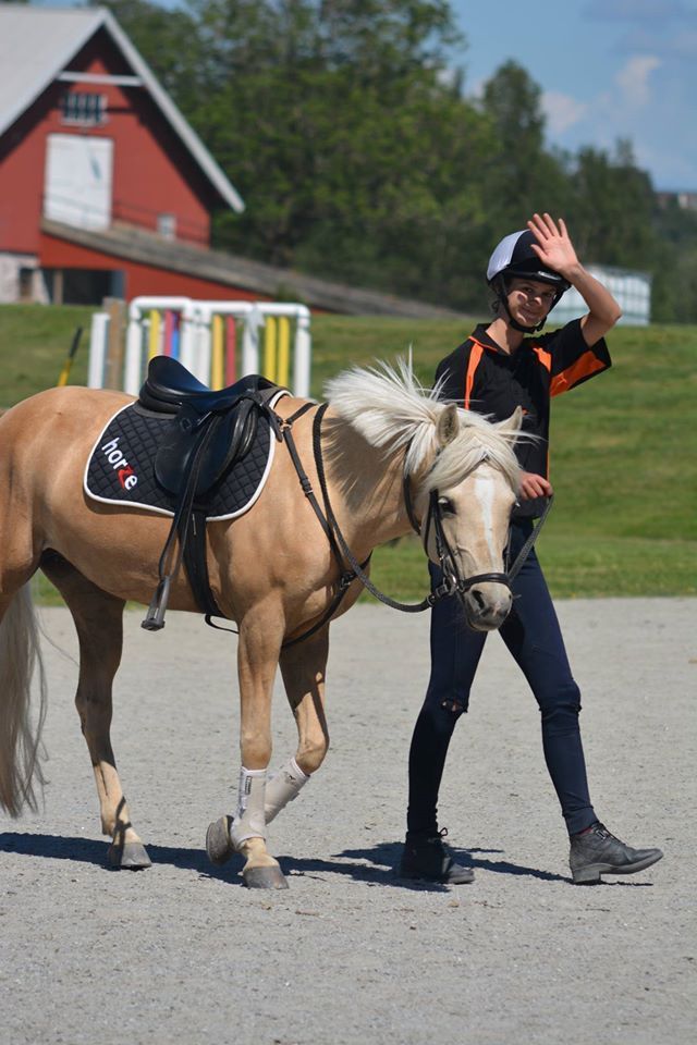  photo 11263077_1085808241449314_4883605128637249884_o_zpsiqxae7rf.jpg