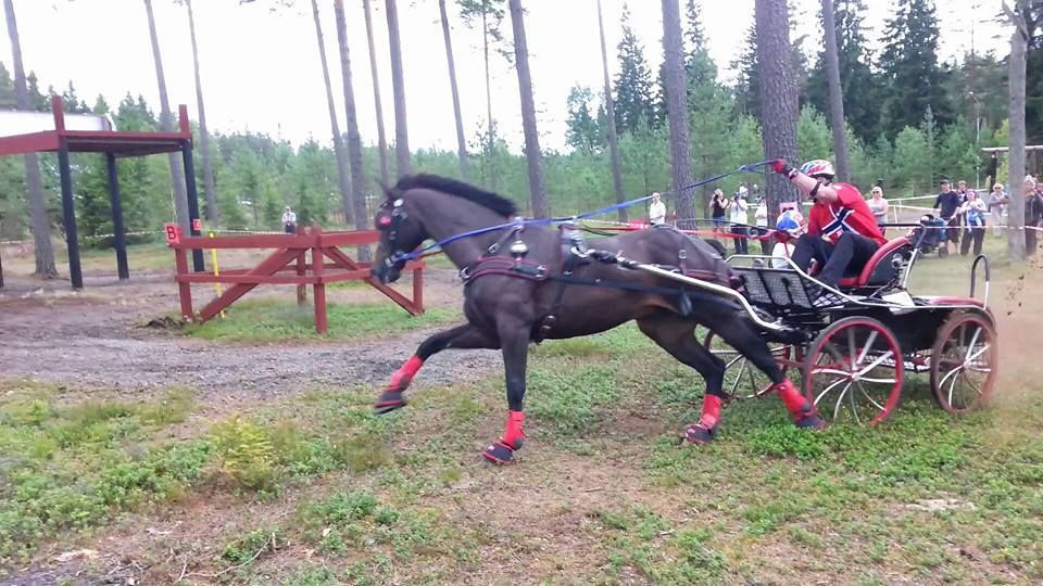  photo 11694765_602422543234389_3274080558602901699_n_zpsscebgsqf.jpg