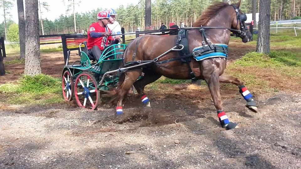  photo 11742651_602420489901261_525435131453023810_n_zps1sdg4vea.jpg