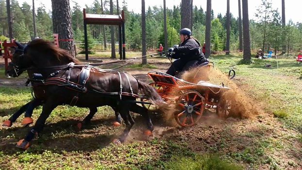  photo 11755668_602418036568173_5111309920524888392_n_zpsxv0ashmx.jpg