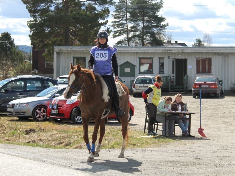 Distansestevne Aurskog Foto: Sissa Stefaniwicz photo 1535021_10205717689955892_6527994330197071861_n_zpsvdbiuliu.jpg