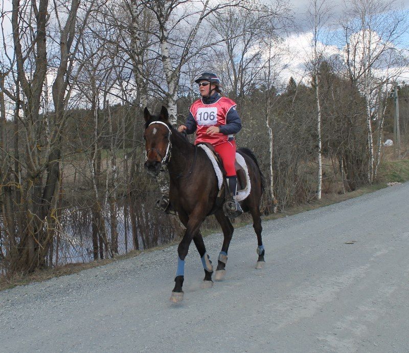 Distansestevne Aurskog Foto: Sissa Stefaniwicz photo 1901164_10205717707716336_7418495752885147600_n_zpsathawdkr.jpg