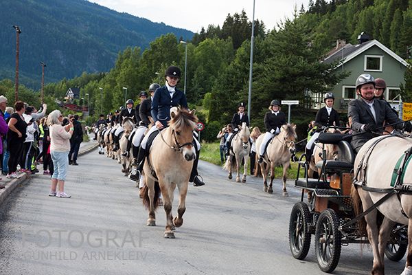 NM fjordhest 2015 Foto: Gunhild Arnekleiv photo 20150706_fjordhest_nm_0076copy_zpsgvw0mese.jpg