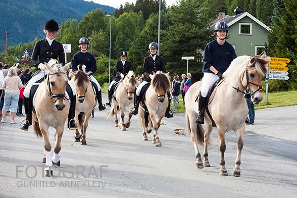 NM fjordhest 2015 Foto: Gunhild Arnekleiv photo 20150706_fjordhest_nm_0092copy_zpsdkkyufip.jpg