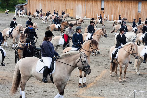 NM fjordhest 2015 Foto: Gunhild Arnekleiv photo 20150706_fjordhest_nm_0226copy_zps6fsa79cm.jpg